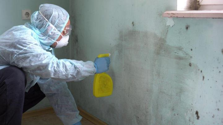 Uncovering mold in your property may be disconcerting, but with EM Restoration, you can rest assured as we work to bring peace of mind back to your space.